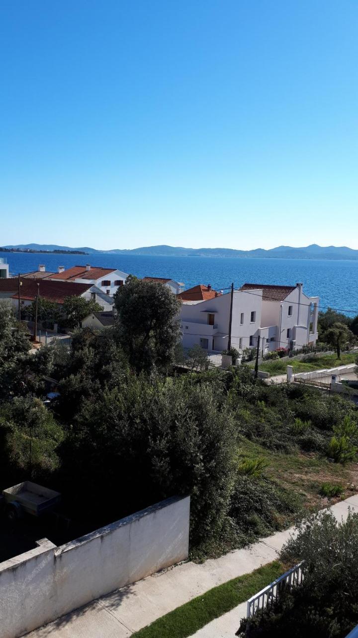 Dana Zadar
